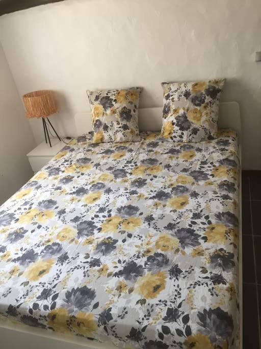 Logement Insolite Au Coeur D'Une Ecurie Arles Esterno foto