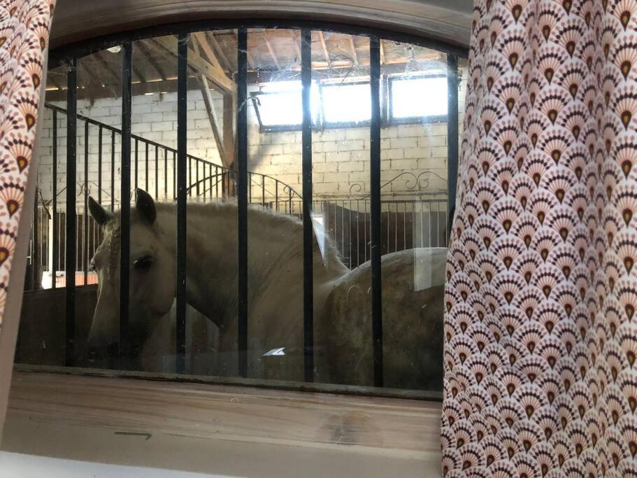 Logement Insolite Au Coeur D'Une Ecurie Arles Esterno foto