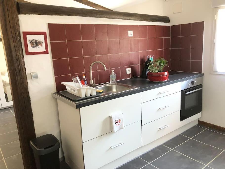 Logement Insolite Au Coeur D'Une Ecurie Arles Esterno foto