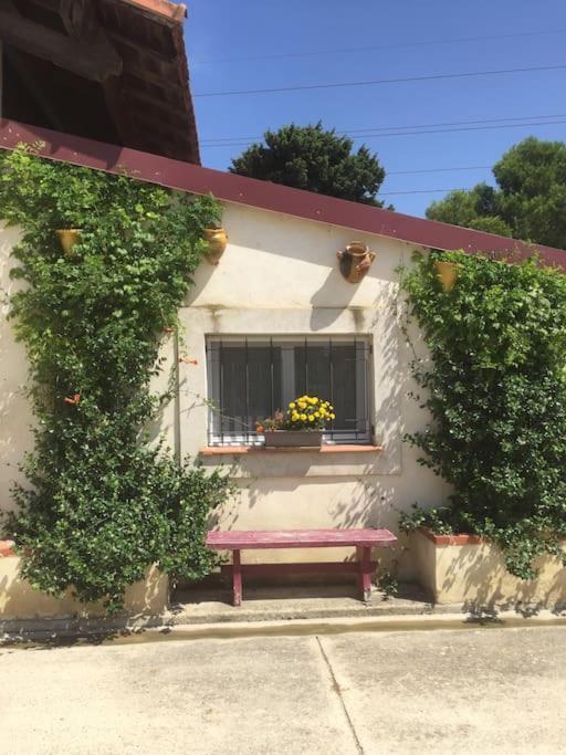 Logement Insolite Au Coeur D'Une Ecurie Arles Esterno foto