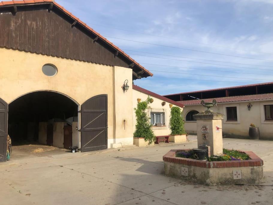 Logement Insolite Au Coeur D'Une Ecurie Arles Esterno foto